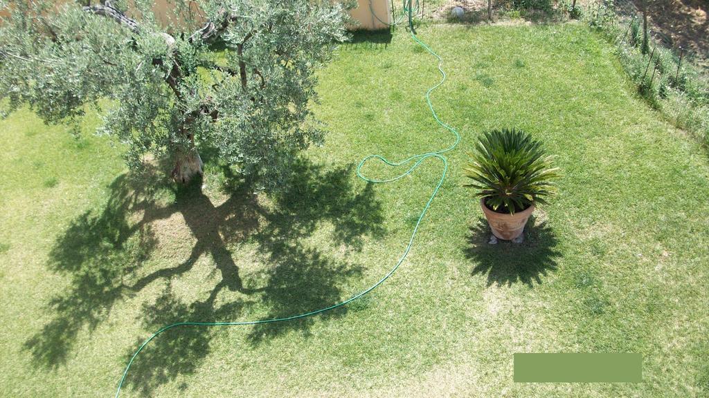 Il Giardino Degli Ulivi Bed & Breakfast Canneto  Exterior photo